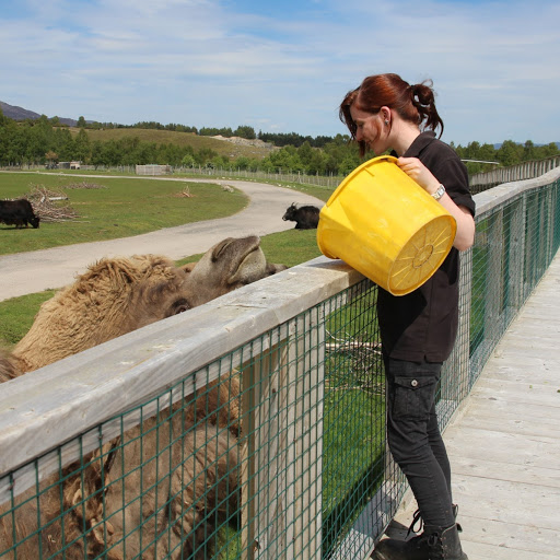 Samantha Field Photo 15