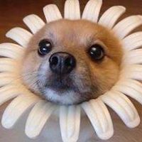 Bridget Pickens Photo 3