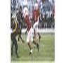 Fred Pruitt Photo 29