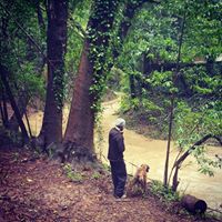 Joshua Quick Photo 35