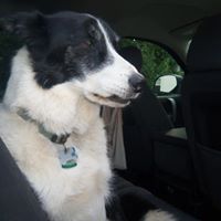 Janet Prior Photo 13