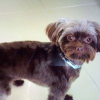 Marilyn Mcgowan Photo 11