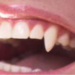 Song Fang Photo 5