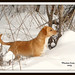 Sandy Wills Photo 26