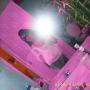 Jasmine Stone Photo 19
