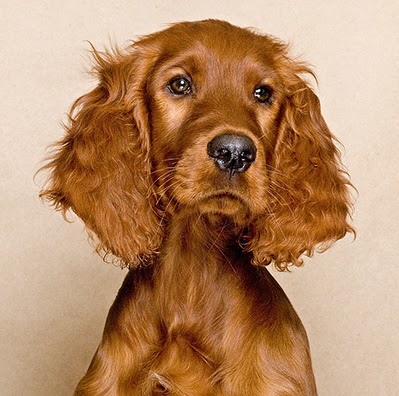 Sean Daugherty Photo 29 Sean Daugherty Photo 29