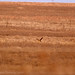 Kenneth Short Photo 15