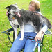 Diane Wiley Photo 11
