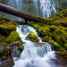 Stephen Heck Photo 34
