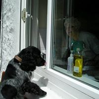 Dale Shepherd Photo 24