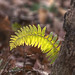 Larry Braun Photo 10
