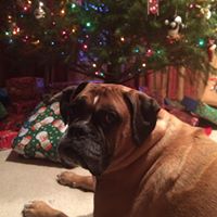 Sue Mahoney Photo 16