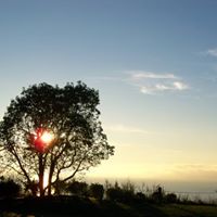 Jayne Collins Photo 5 Jayne Collins Photo 5