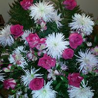 June Barker Photo 18