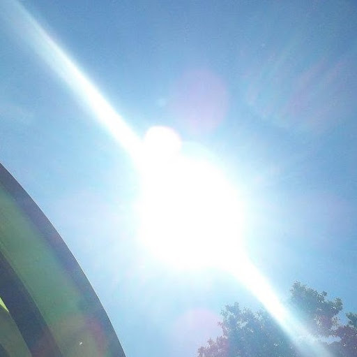 Freddy Cook Photo 23