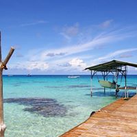 Tracey Madden Photo 10