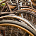 Gary Baumann Photo 35