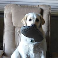 Cheryl Riddle Photo 13