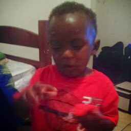 Vincent Hamilton Photo 9