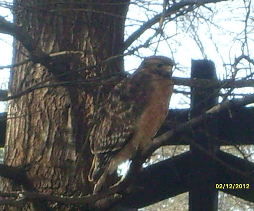 Brian Donnelly Photo 49