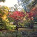 James Redden Photo 18