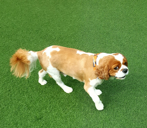 Rachel Poller Photo 4