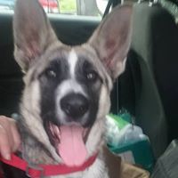 Laura Bernard Photo 32