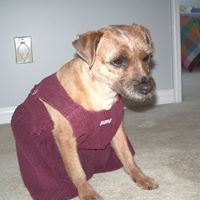Nancy Holman Photo 22