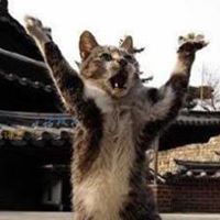 Jingjing Zhou Photo 19