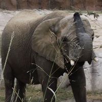 Cindy Redmon Photo 6