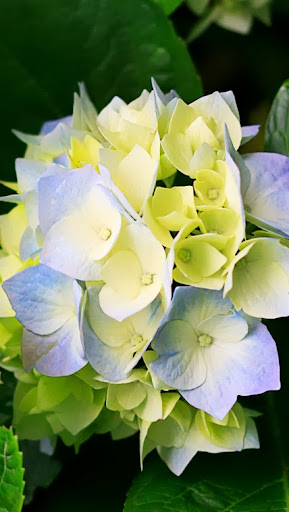 Kimberly Rodrigues Photo 13