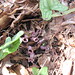 Cary Brown Photo 14