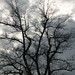 Brandon Barbour Photo 6