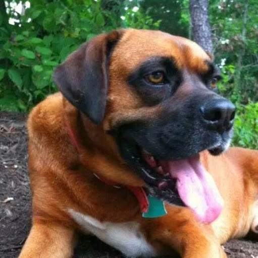 Roberta Houston Photo 3