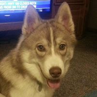 Jeffrey Carlisle Photo 17