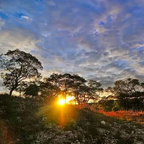 Ronald Cornelius Photo 20