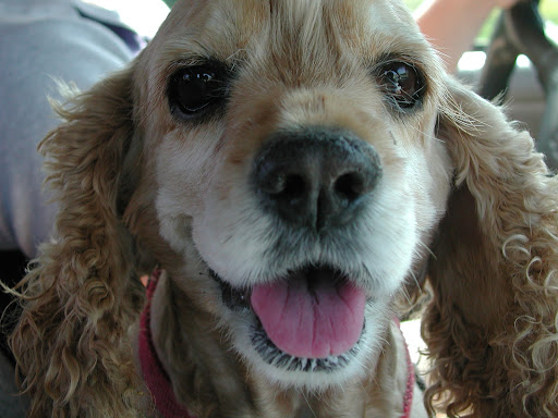 Jennifer Leighty Photo 2