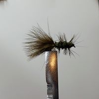 Joanne Stone Photo 6