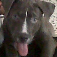 Louis Colon Photo 11