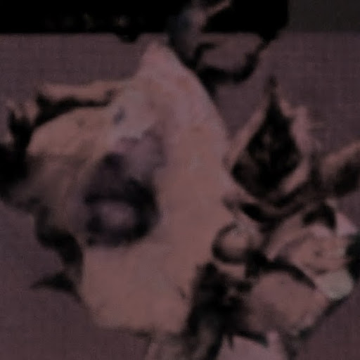 Connie Barnett Photo 19