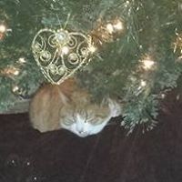 Kelly Bayer Photo 14