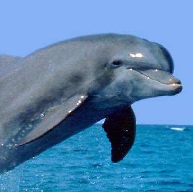 Leah Mcclure Photo 5