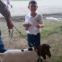 Melissa Mcclendon Photo 27