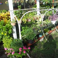 Cynthia Boone Photo 13