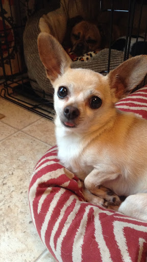 Samantha Hunter Photo 46