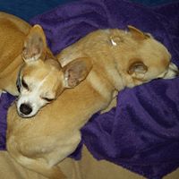 Sharon Stephens Photo 8