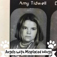 Amy Tidwell Photo 21