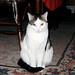 Benny Long Photo 27
