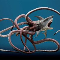 Brian Sutton Photo 40