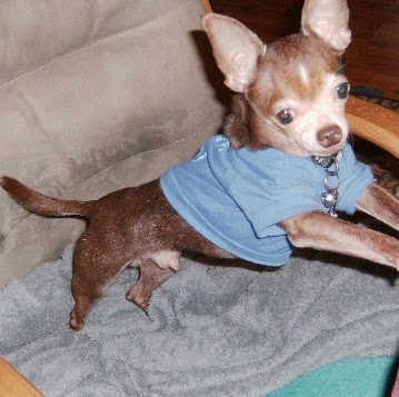 Pamela Ruth Photo 16